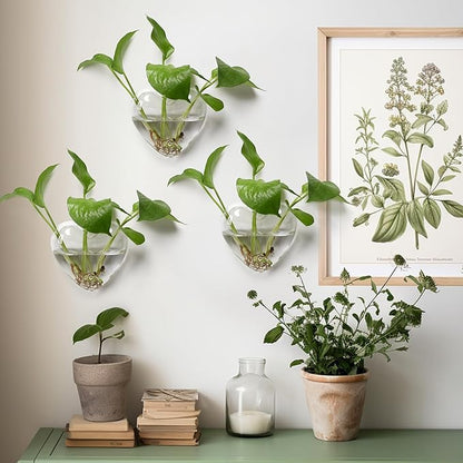 Wall Hanging Planter Propagation Station for Indoor Plants Glass Vase Air Plant Holder for Bathroom Living Room