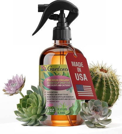 GARDENERA Professional Organic Liquid Kelp Spray for Succulents & Cacti Plants - 8 oz - Ready-to-Use Fully Organic Seaweed & Kelp Fertilizer Mist
