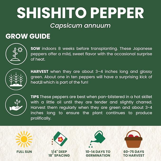 Shishito Pepper – 60 Premium Seeds for Planting – Sweet, Savory, High-Yielding Specialty Pepper for The 2026 Season – 500 Milligram Pouch