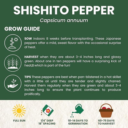 Shishito Pepper – 60 Premium Seeds for Planting – Sweet, Savory, High-Yielding Specialty Pepper for The 2026 Season – 500 Milligram Pouch