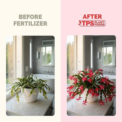 TPS NUTRIENTS Christmas Cactus Fertilizer for All Christmas Cacti and Schlumbergera Cacti, Liquid Plant Food 8 oz (250mL)
