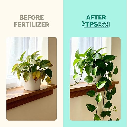 Indoor Plant Food - Liquid Fertilizer for Indoor Plants & Potted Houseplants, by TPS Plant Foods, 8 oz (250 mL)