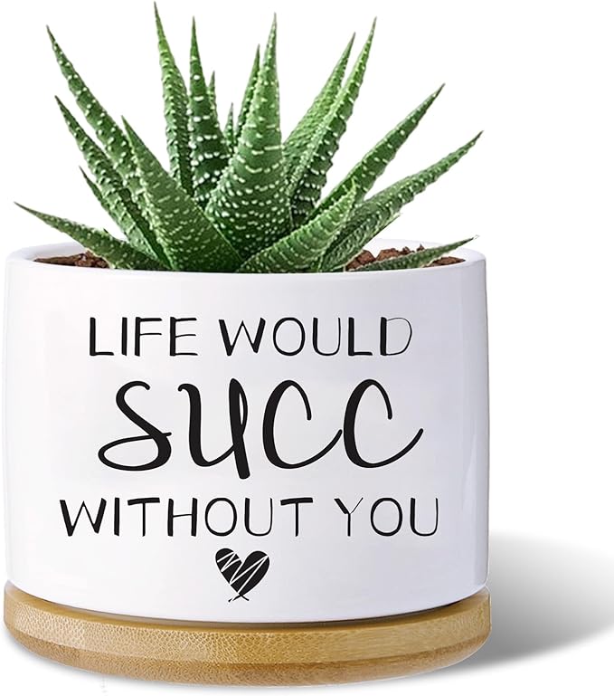 Funny planters for Indoor Plants,Funny Gifts for Planter Lover,Indoor Plants Garden Planters Succulent Pots, with Drainage Holes and Saucer(No Plants) (Life Would SUCC Without You)