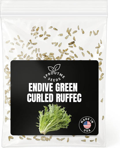 Endive Curled Ruffec Seeds for Planting – 500+ Non-GMO Heirloom Frilly Leaf Salad Green, Cool Season Crop for Spring & Fall, High Germination (Cichorium endivia)