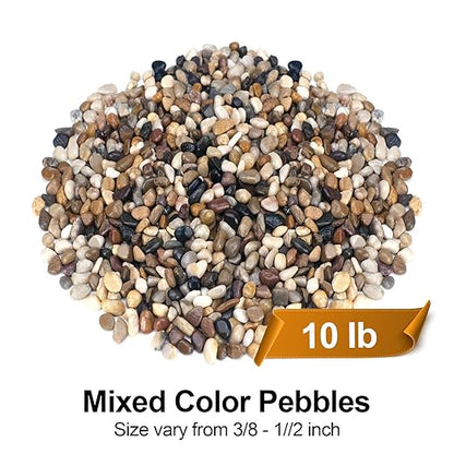10 lbs Pebbles for Indoor Plants, Succulent, Bamboo, Vase, 3/8" Plant Rocks for Pots Indoor, Small River Rocks Decorative Pea Gravel, Highly Polished