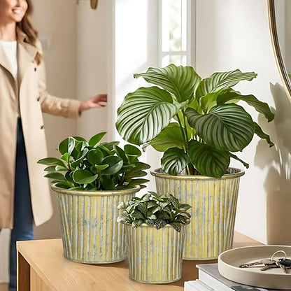 Gold Metal Rustic Flower Pots - 3 PCS Galvanized Planters Rustproof Durable Metal Buckets Plant Pots Vintage-Inspired Charm Rustic for Farmhouse Garden Herb Indoor Outdoor Decor(Dia.5.5"/6.5"/7.1")