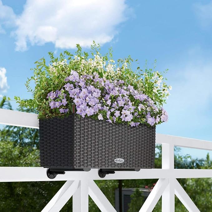 Lechuza Balconera Bracket - Black