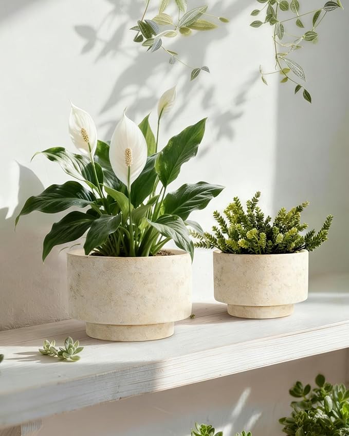 Succulent Pots, 8 Inch + 6 Inch Plant Pots for Plants with Drainage Hole, Indoor Outdoor Ceramic Planter, Set of 2 Round Flower Pots for Succulent and Plants, Beige
