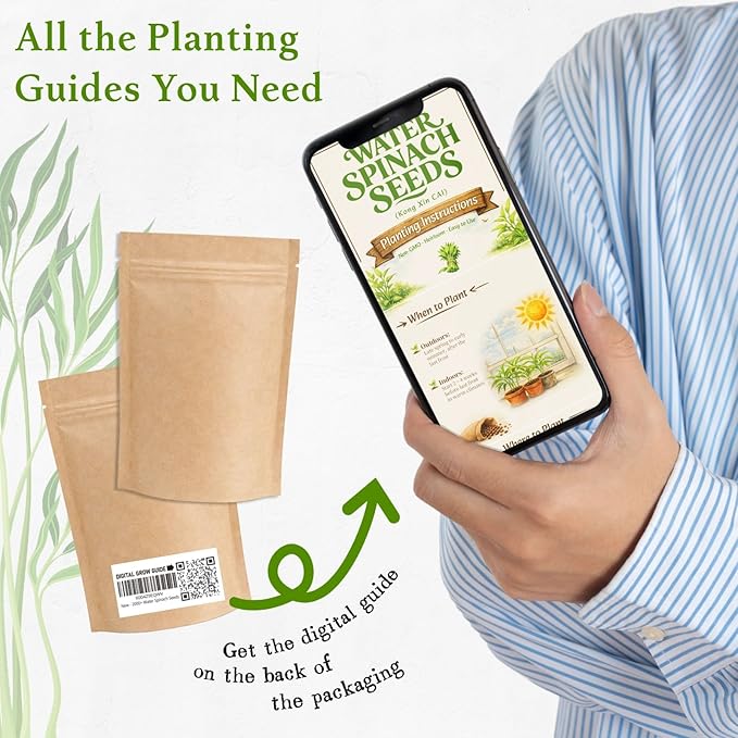 2000+ Water Spinach Seeds - Bulk Pack Kong Xin CAI Vegetable & Kangkong Seeds for Planting, Planting Guide for Easy Grow, for Container Gardening & Home Beds