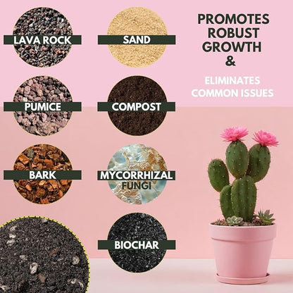 5 Dry Qt Cactus & Succulent Potting Soil Mix, USA Made - Gritty, Fast Draining, Soilless, Root Boosting, Peat-Free - Growth of Cactus, Succulents, Jade, Aloe Vera (5 Qt)