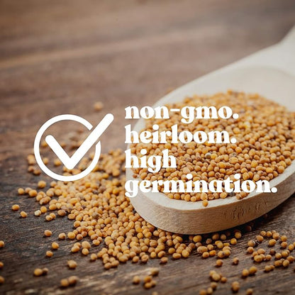Mammoth Melting Sugar Pod Snow Pea Garden Seed - 5 Lbs ~9,000 Seeds - Non-GMO, Heirloom Vegetable Gardening & Microgreens Seed