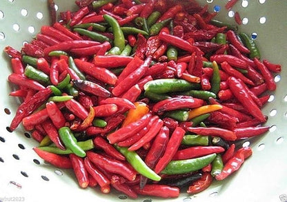 Vietnamese Chili - 50 Seeds(Capsicum annuum)'Ot Hiem',Mean Pepper or Tear Jerker