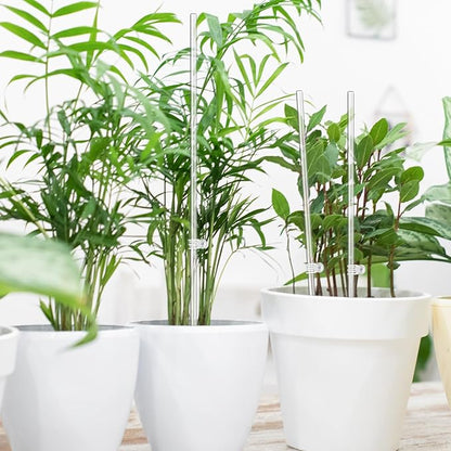 60 Pcs Clear Acrylic Plant Support Stakes with 60 Clips 15.8 & 11 Inch Reusable Plant Holder Stick Garden Stakes for Indoor Outdoor Potted Plants, Orchids, Tomatoes, Flowers
