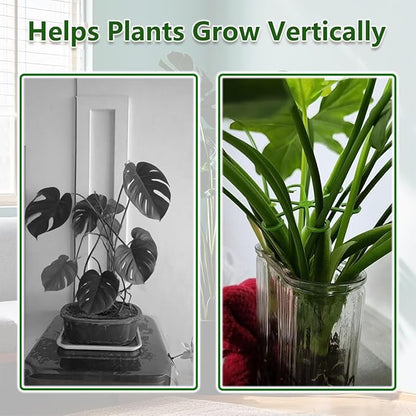 8PCS Climbing Plant Stem Supports 4 Sizes, Reusable Plastic Stakes Indoor/Outdoor Garden Flower Growth Accessories Stem Holder for Thriving Plant Growth