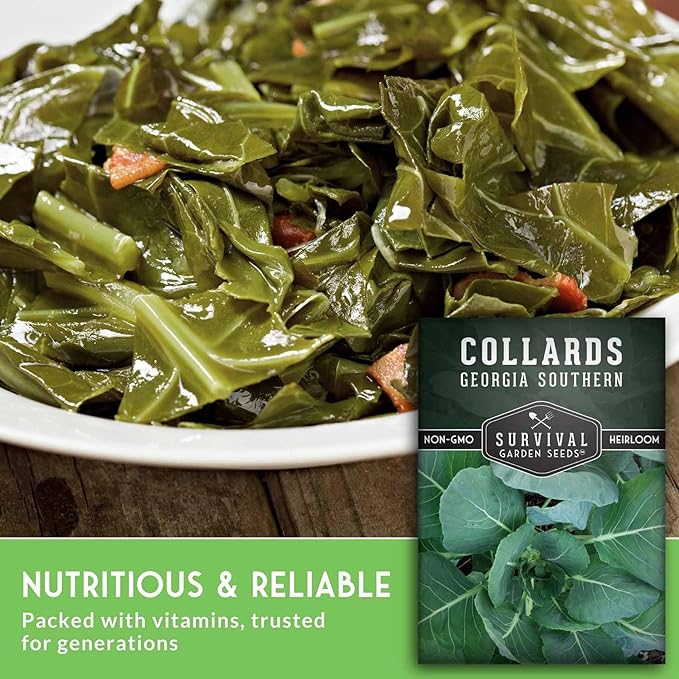 Collard Green Seeds for Planting | Georgia Southern Heirloom Non-GMO Variety | Leafy Greens for Home Vegetable Gardens - Survival Garden Seeds (5 Packs)