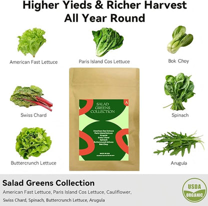 Inbloom 7-Pods Salad Greens Seed Pod Kit for AeroGarden, Ahopegarden, Gardencube Hydroponic Garden with Spinach, Buttercrunch, Paris & American Lettuce, Swiss Chard, Arugula, Bok Choy - 350 Seeds