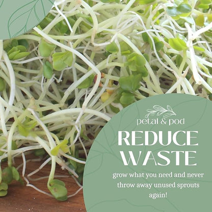 Petal & Pod Microgreens & Sprouting Seeds (12oz) - Broccoli - Seeds for MicroGreens Growing Kit and Sprouting Jars