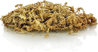 Gardenera Ixora Plant Potting Mix - Unlock Robust Growth and Stunning Flowers with Our High-Performance Formula - 20 Quart