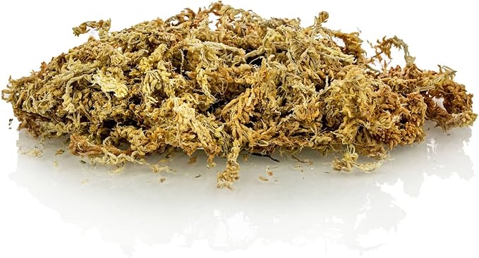 Gardenera Premium New Zealand Sphagnum Moss - Organic Hand Mixed Long Fibered Sphagnum Moss Orchid - 4 Quart