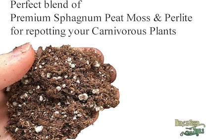 Carnivorous Plant Soil Mix – 1 Quart Bag – Premium Blend of Perlite & Peat Moss – Ideal for Venus Flytraps, Pitcher Plants, Sundews & Other Carnivorous Species – Ready to Use, Natural, Resealable Bag