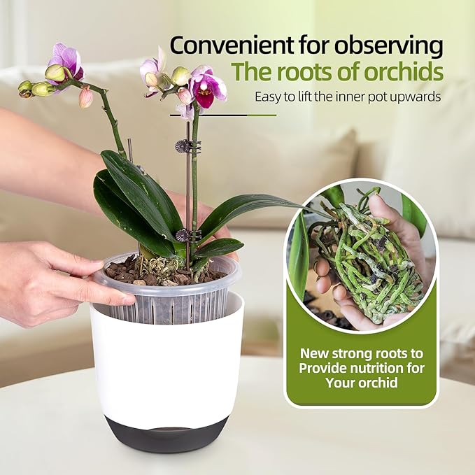 QCQHDU 2 Pack 7.2 Inch Orchid Pots with Holes for Repotting, Double-Layer and Self Watering Orchid Pot with Good Air Circulation