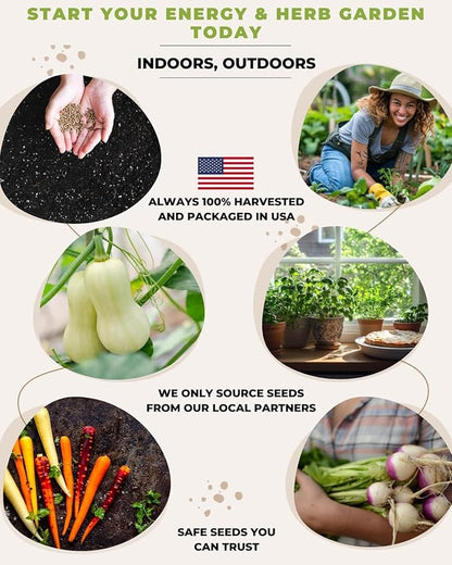 Tactiko Survival 30 Calorie-Dense Veggies & Popular Herbs - Ultimate Energy Seed Kit - USA-Grown Non-GMO Heirloom Seeds - Mylar-Bag for Long-Term Storage, Emergency Food Supply Gardening