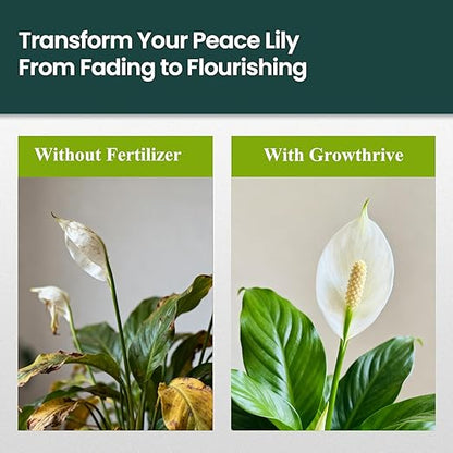 Peace Lily Liquid Fertilizer 10 oz – Natural Organic Plant Food for Peace Lily – Probiotic Formula with 200 Million Live Bacteria/ml – Promotes Lush Leaves & Vibrant Blooms