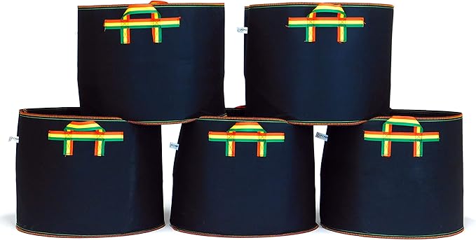 FCMP Outdoor 20 Gallon Modern Lightweight Non-Woven Insulating Fabric Breathable Grow Bags for Indoor or Outdoor Gardening, Multicolor (5 Pack)