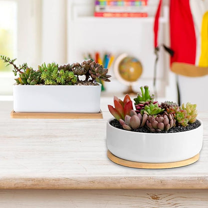 White Ceramic Succulent Plant Pots, 1 Rectangular Flower Pot + 1 Round Planter, Set of 2 Small Cactus Container, Bonsai Pots, Succulent Pots with Drainage Hole& Bamboo Tray (No Plant)
