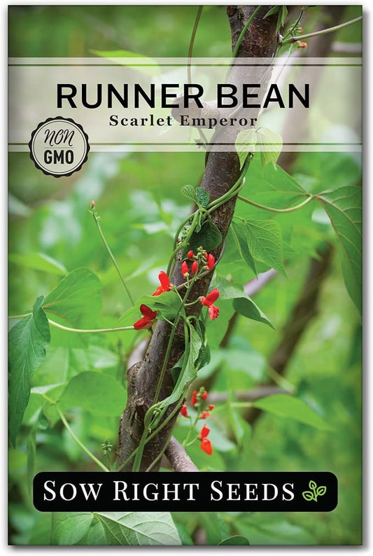 Sow Right Seeds - Scarlet Emperor Runner Bean Seeds for Planting - Non-GMO Heirloom Packet with Instructions to Plant & Grow an Outdoor Home Vegetable Garden - Tall and Fast Growing Vining (1)