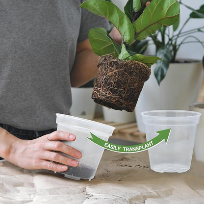 GREANER 5 Inch 30 Packs Clear Plant Pots, Transparent Plastic Plant Pots for Indoor Outdoor Plants, Nursery Pots & Seed Starting Pots with Drainage Holes and 20 Pcs Plant Labels