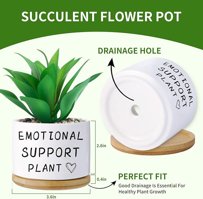 Funny planters for Indoor Plants, for Planter Lover,Indoor Plants Garden Planters Succulent Pots, with Drainage Holes and Saucer(No Plants) (Emotional Support Plant)