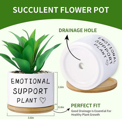 Funny planters for Indoor Plants, for Planter Lover,Indoor Plants Garden Planters Succulent Pots, with Drainage Holes and Saucer(No Plants) (Emotional Support Plant)