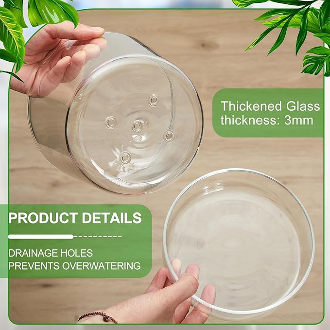 2 Sets 6 Inch Glass Planter with Drainage Hole and Tray Indoor Clear Plant Pots with Saucer Modern Decorative Orchid Glass Pot for Outdoor Flower Plants