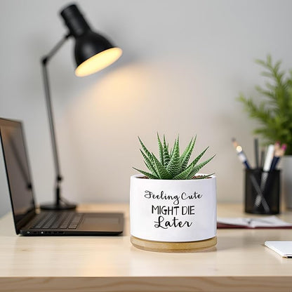 Funny planters for Indoor Plants Garden Succulent Pots, with Drainage Holes and Saucer(No Plants) (Feeling Cute Might Die Later)