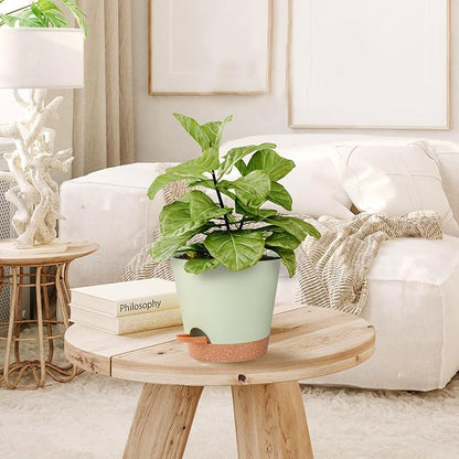 Self Watering Pot for Indoor & Outdoor Plants - African Violet, Flowers, Succulent & Cactus Plant Pots with Drainage Holes - Green Plastic Pots - Gift Idea for Lazy People - House Decor