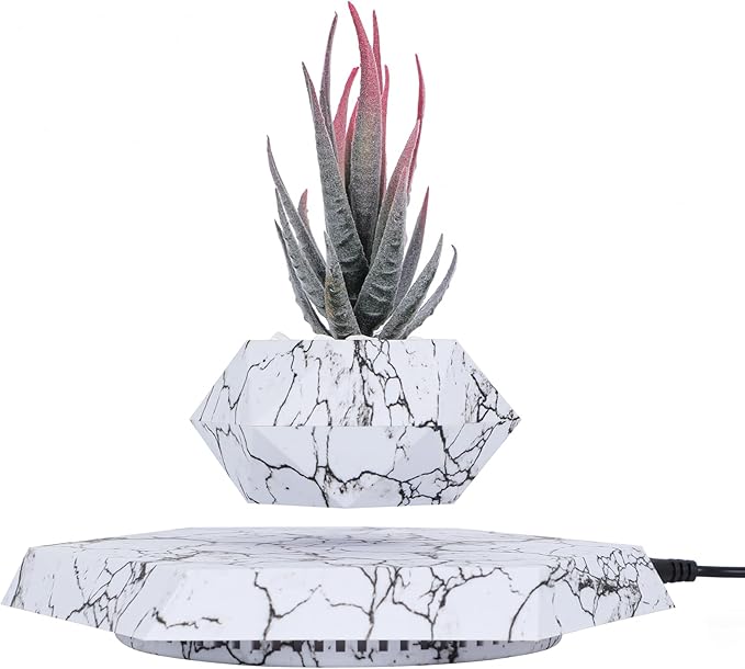 Levitating Plant Pots Floating Hanging Planter for Small Plants. Elevate Your Space Level with The Floating Plant Pot – Stunning Home and Office Deco (White)