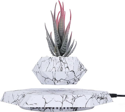 Levitating Plant Pots Floating Hanging Planter for Small Plants. Elevate Your Space Level with The Floating Plant Pot – Stunning Home and Office Deco (White)