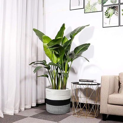 Indoor Planter Cover Woven Cotton Rope Flower Pot 11-inch Storage Organizer Basket Decorative Modern Home Accents