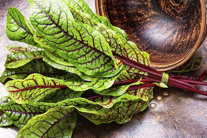 Seeds Herb Sorrel Bloody Dock Red Veined - 100 Seeds