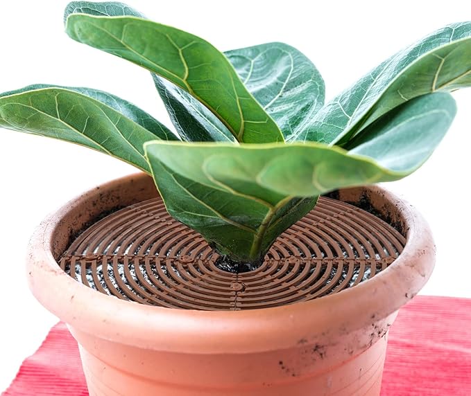 6 Pcs Plant Pot Grid Soil Protector Covers Cuttable Flower Protector from Animals Cat Digging Stopper Plant Pot Cover with Stakes for Indoor Outdoor Gardening (20.5 +11.8+7.5 Inch,Brown)