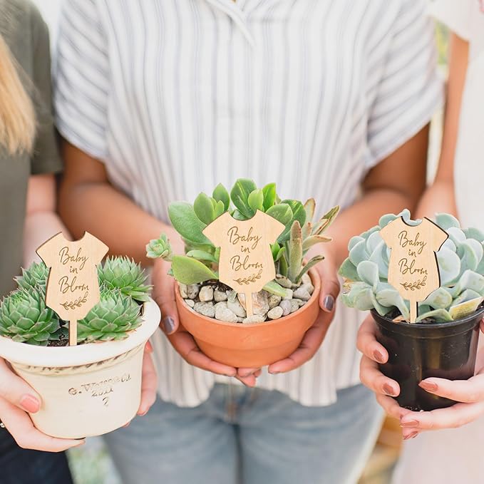 30Pcs Baby in Bloom Plant Labels Baby Shower Wooden Plant Stakes Gift Succulent Garden Marker Plant Sign for Seed Potted Supplies
