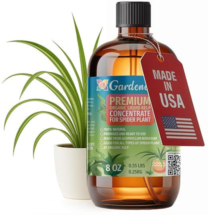 GARDENERA Premium Organic Seaweed & Kelp Superfood for Snake Plant Plants - 8 oz - Liquid Kelp Fertilizer Concentrate (Makes 45 Gallons)
