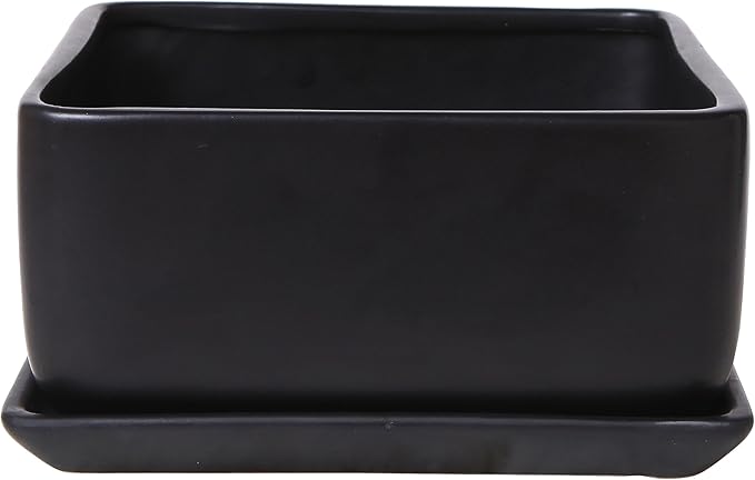 MyGift Modern Black Ceramic Square Indoor Small Planter, Flower Succulent Plant Pot with Drainage Hole and Removable Drip Tray