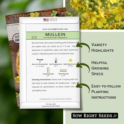 Sow Right Seeds - Mullein Seeds for Planting - Non-GMO Heirloom Variety - Ideal for Gardens, Landscaping, Medicinal Herbs - Easy to Grow - Indoor or Outdoor Growing - Herb Garden (3)