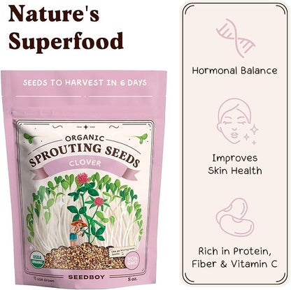 Seedboy Organic Non-GMO Clover Seeds for Sprouting - USA Grown Microgreens Sprouting Seeds - 8 oz Bag Makes 8 Quarts / 24 Servings (Red Clover)