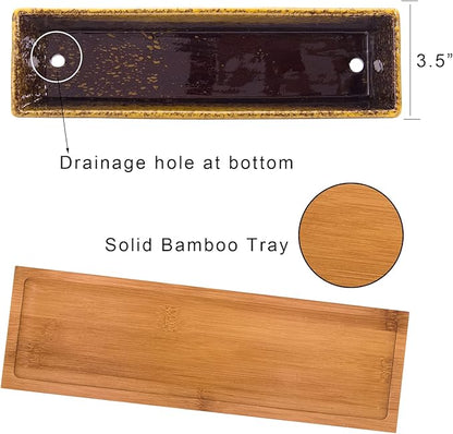 Succulent Pots - Large Succulent Planter Pots with Drainage, 12 Inch Long Rectangle Bonsai Pot with Bamboo Tray Shallow Ceramic Cactus Flower Planter Window Box for Home Garden Decor (Yellow)