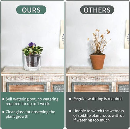 4 Inch Self Watering Pot,African Violet Pot,Bottom Watering Glass Planter for Indoor Plants and Progagation