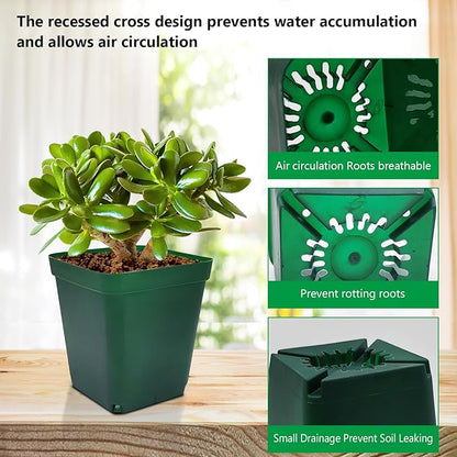 Square Seedling Nursery Pots 3.15 Inches 100 Pcs for Small Succulents or Cacti Flower Plastic Pots Sturdy Reusable (Green, 3.14Inches,100Pcs)