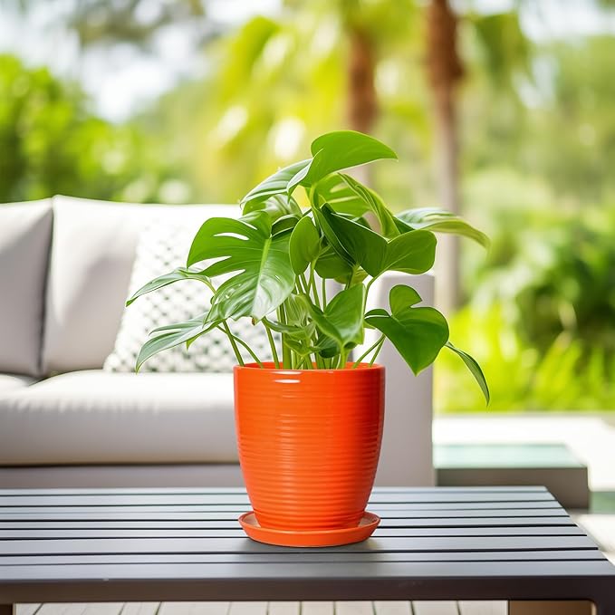 Ceramic Pots for Plants - 8 Inch Plant Pot with Drainage Hole and Saucer, Round Planter for Indoor Outdoor, Modern Flower Planters, Home Apartment Room Decor, Gardening Gifts, Orange